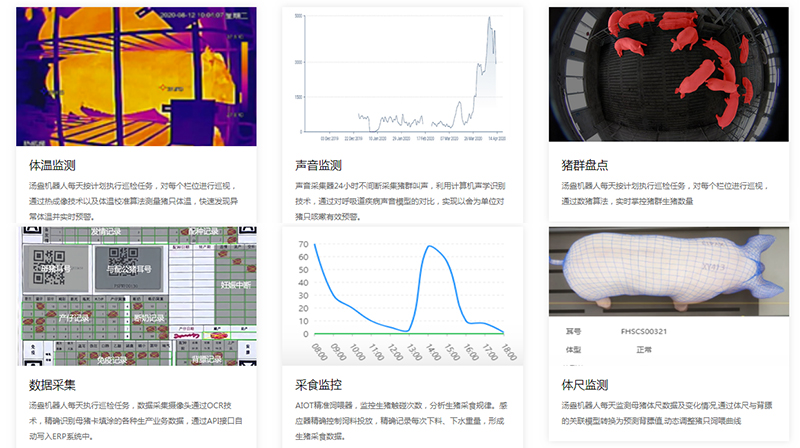 图层 1.png